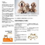 『しつけとは、周囲に迷惑にならないようにではなく、犬が人間社会で困らないようにすること、と定義したいです』の画像