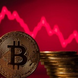 『【訃報】ビットコイン、逝く』の画像