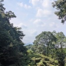 今日の道ばた　橘川下りコース