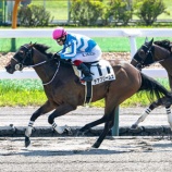 『函館開幕週、デアプリームスが2連勝で2勝目を飾りました！』の画像