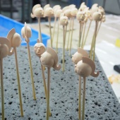 �ס������Ķ�����