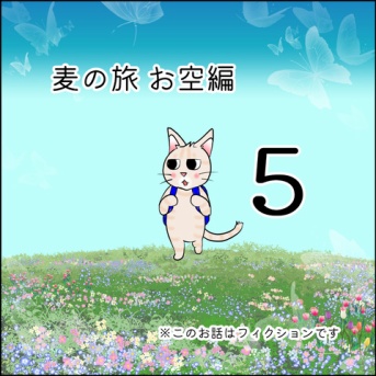 麦の旅 お空編５