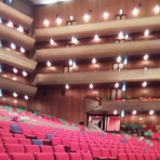 滲むネオンと路地裏の猫