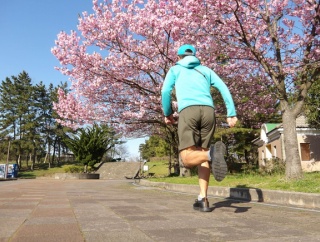 朝練ラン　まだ桜が楽しめた
