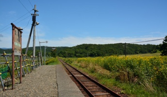 滞らずに正々堂々と秘境駅に行ってきたから写真うpする