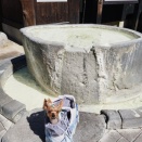 蔵王＆飯坂温泉お盆旅行2025♨️  蔵王温泉～旅館 山口屋施設編