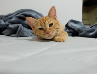 職場の男が私の髪型のことで口出ししてくる。男「清楚系だからモテると思ってる？」「黒髪ストレートは男の間じゃ隠れ男遊び好きな女の目印みたいなものだから」