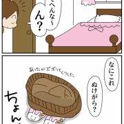 母の「謎のぬけがら」