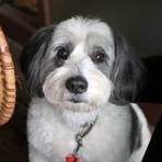 epice cafe "HEADLINE"