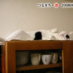 裏つるきち