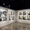 「まなざしの奇跡 日本女性写真家の冒険」：写真から考える、主題と表現の本質