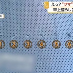 サイ速