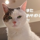 休みます