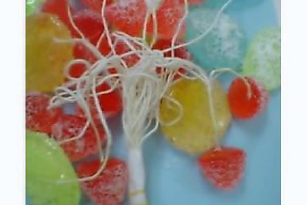 駄菓子屋日記 06年04月