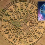 『大麻のミステリーサークル』の画像