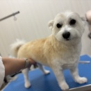 2026/04/28のトリミング🎶