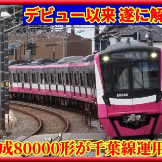 湘南色の部屋（Shonan-color train）