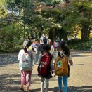 11月14日　いちょう並木