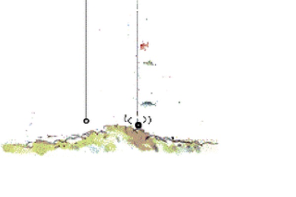 スモールボート釣りクイズ 絵浜sbfp