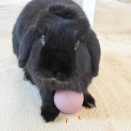 というコトで…。