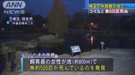 さいたま水族館で魚500匹が死亡、故意の犯行か…埼玉
