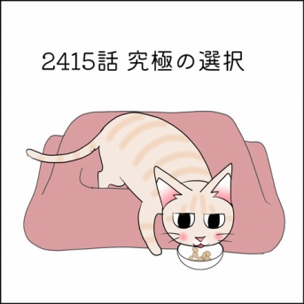 あんこ＆麦2415 究極の選択