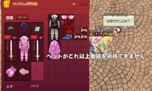 ペットがこれ以上金貨を所持できません。パートナー「……」