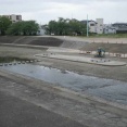 こいのぼりが泳ぐ芥川桜堤の河床が整地された　こいのぼりは4月26日（日）～5月5日（火）2026年