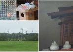 野球場