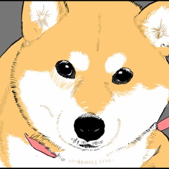 ポン太、腎不全になりました㉔