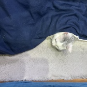 【写真日記】2025年11月