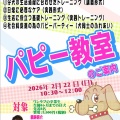 2月のパピー教室のご案内🐶