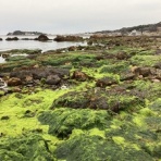 石になる地のふしぎ