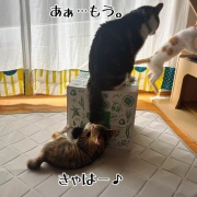 シュウさまはスイカ。