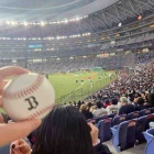 �������⚾️