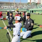一緒に阪神タイガースを応援しよう！