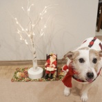 華・あず＆レン