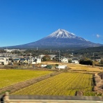 努力の上に花は咲くⅡ
