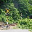今日の鉄分補給　只見線の線路
