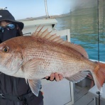 遊漁船ニライカナイの釣果ブログ