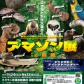 スズランで開催中の「アマゾン展」