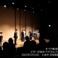 【《カルメン》終演後、お客様からの声をご紹介します】