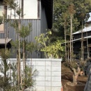 お隣の北山台杉