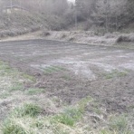 エゴマ・ベンガルの風にのって