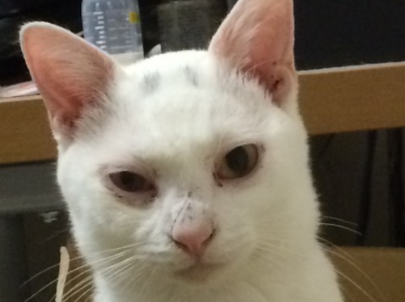 運命の出会いたち　20260224