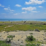 知床と八重山の風景