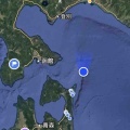 海を渡るオオソリハシシギ