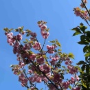 4月15日(水) (^O^)／