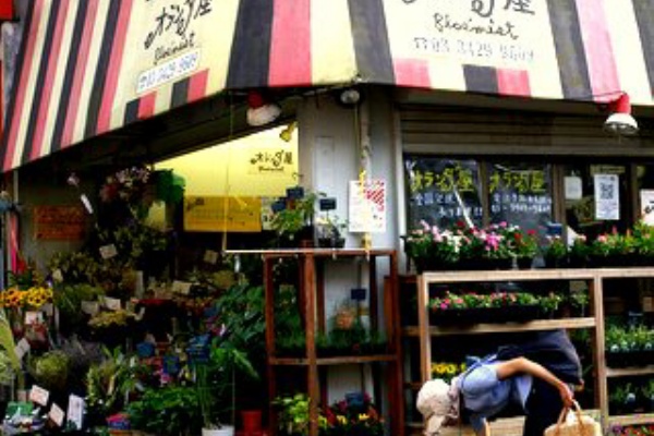 写真はイメージです Pentax Istds Da40mmf2 8 Limited