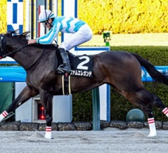 ファムエレガンテが快勝でオープン入り！